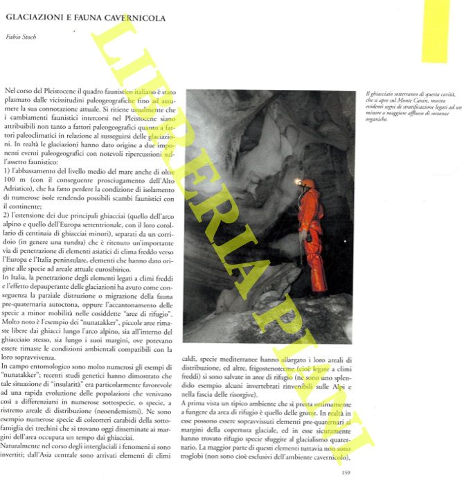 STOCH Fabio - - Glaciazioni e fauna cavernicola.