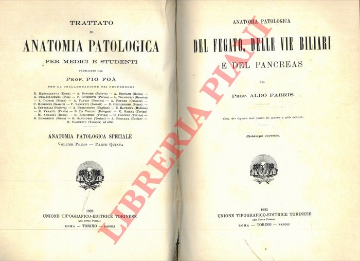 FABRIS Aldo - - Anatomia patologica del fegato, delle vie biliari e del pancreas.