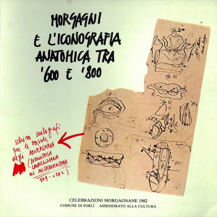 - - Morgagni e l'iconografia anatomica tra '600 e '800.