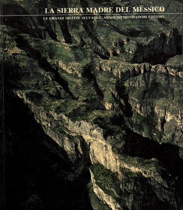 - - La Sierra Madre del Messico. Le grandi distese selvagge.