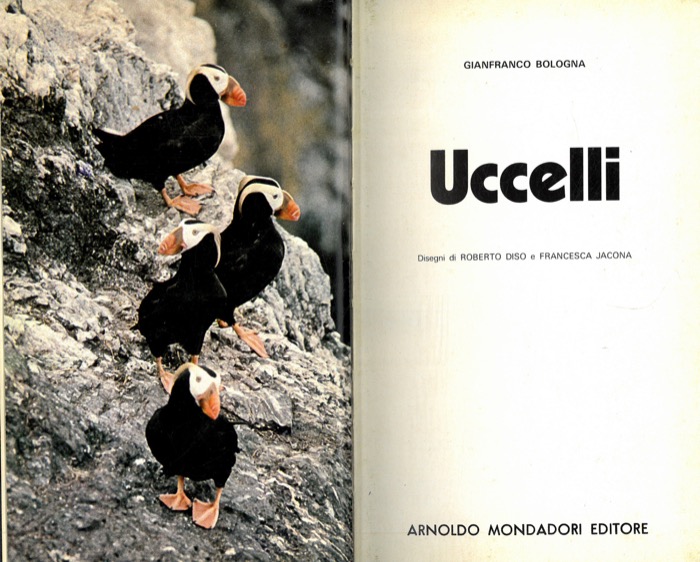BOLOGNA Gianfranco - - Uccelli.
