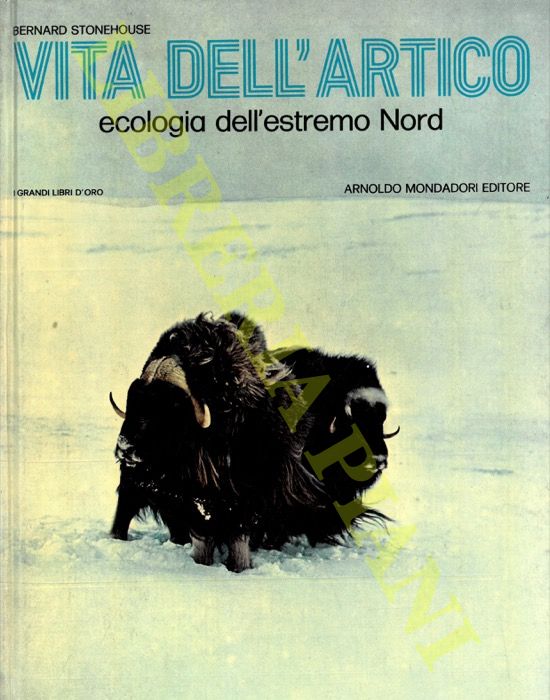 STONEHOUSE Bernard - - Vita dell'artico. Ecologia dell'estremo Nord.