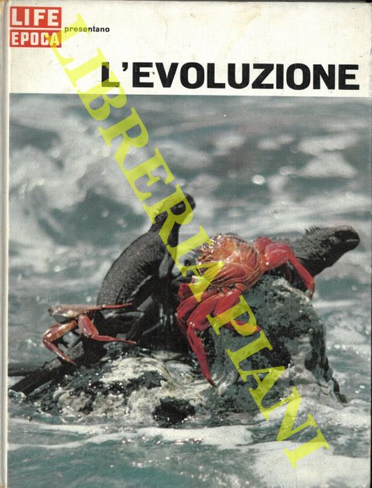 (MOORE Ruth - Redattori di LIFE) - - L'evoluzione.