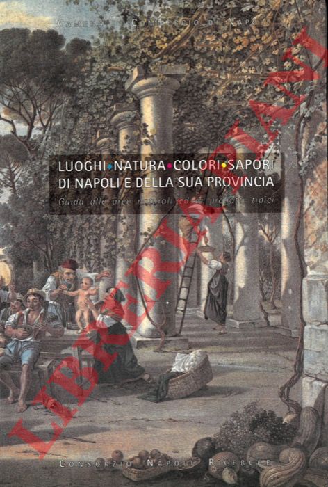 (FRAISSINET Maurizio - LUCISANO Antonio) - - Luoghi natura colori sapori di Napoli e della sua provincia. Guida alle aree naturali ed ai prodotti tipici.