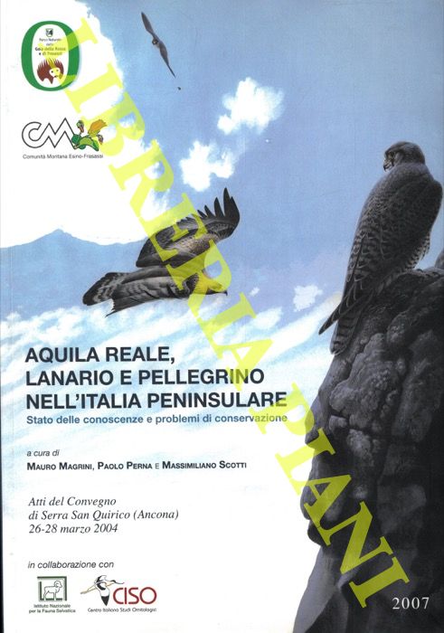 (MAGRINI Mauro - PERNA Paolo - SCOTTI Massimiliano) - - Aquila reale, lanario e pellegrino nell'Italia peninsulare. Stato delle conoscenze e problemi di cosnervazione. Atti del Convegno di Serra Sam Quirico (Ancona) 26-28 marzo 2004.