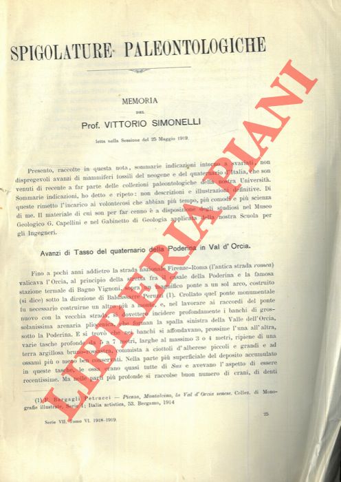 Spigolature paleontologiche. - SIMONELLI Vittorio -