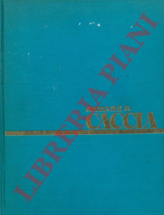 - - Andare a caccia.