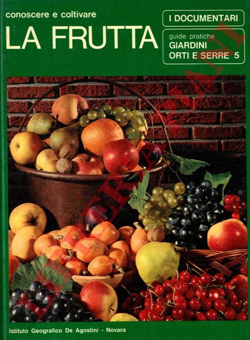 QUAGLINO Alberto - - La frutta. Conoscere e coltivare.