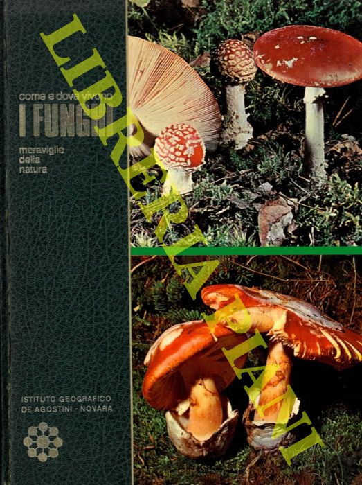 (TOSCO Uberto) - - Come e dove vivono i funghi.