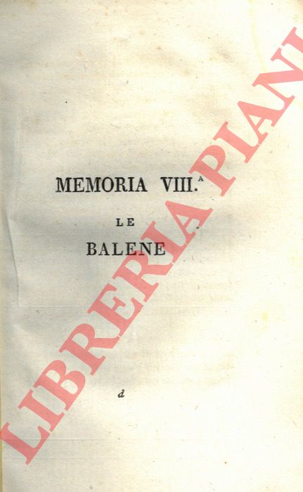 MOLINA Gioan-Ignazio - - Le balene.