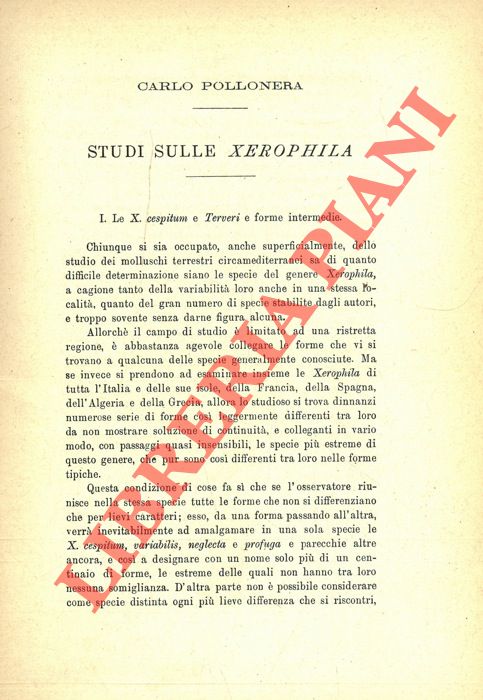 POLLONERA Carlo - - Studi sulle Xerophila.