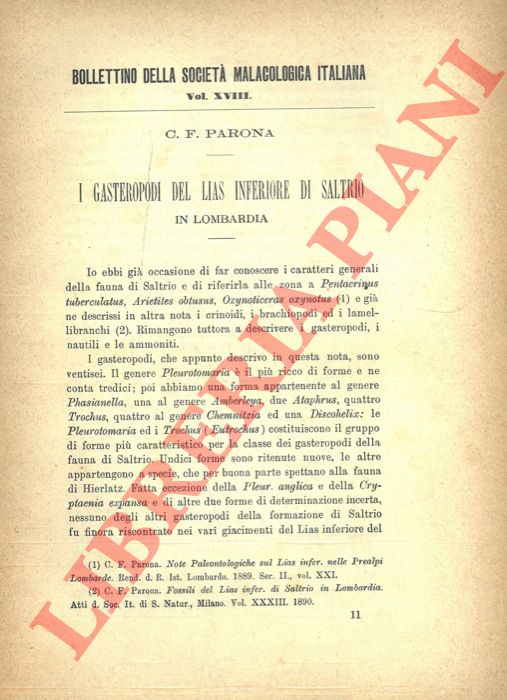 PARONA C.F. (Carlo Fabrizio) - - I Gasteropodi del Lias inferiore di Saltrio in Lombardia.