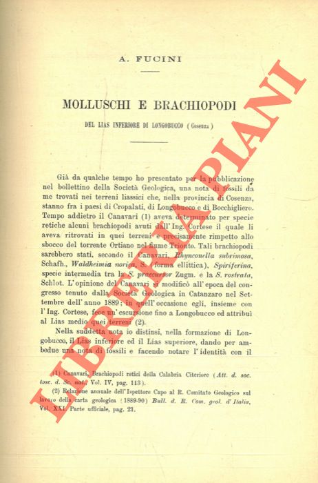 FUCINI A(lberto) - - Molluschi e brachipodi del Lias Inferiore di Longobucco (Cosenza).
