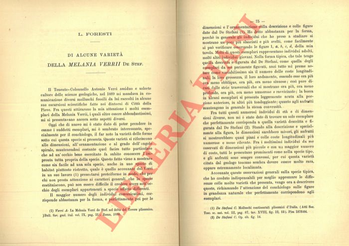 FORESTI L(odovico) - - Di alcune variet della Melania Verrii (De Stefani). - Di una nuova specie di Pholadomya pliocenica.