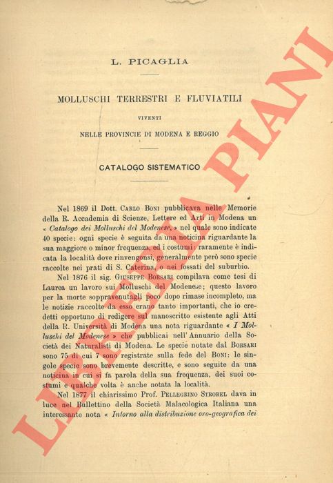 PICAGLIA L(uigi) - - Molluschi terrestri e fluviatili viventi nelle provincie di Modena e Reggio.