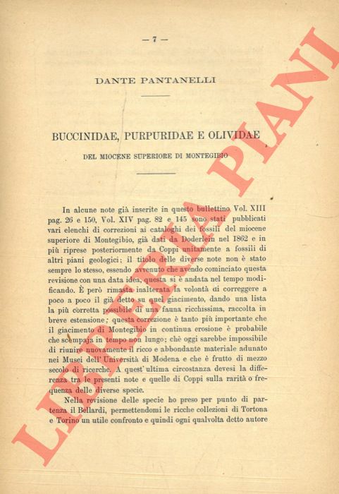 PANTANELLI Dante = TOLDO Giovanni - - Buccinidae, Purpuridae e Olividae del Miocene superiore di Montegibio. Muricidae, Tritonidae e Fasciolaridae del Miocene superiore di Montegibio.