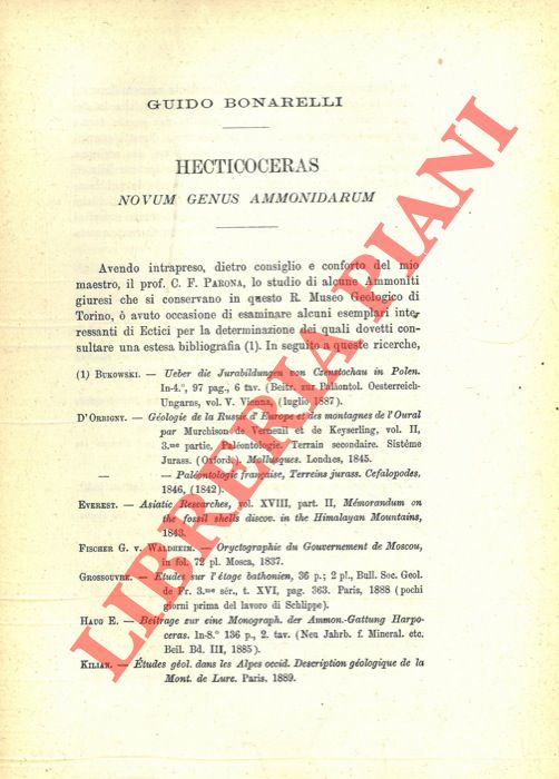 BONARELLI Guido - - Hecticoceras Novum Genus Ammonidarum.