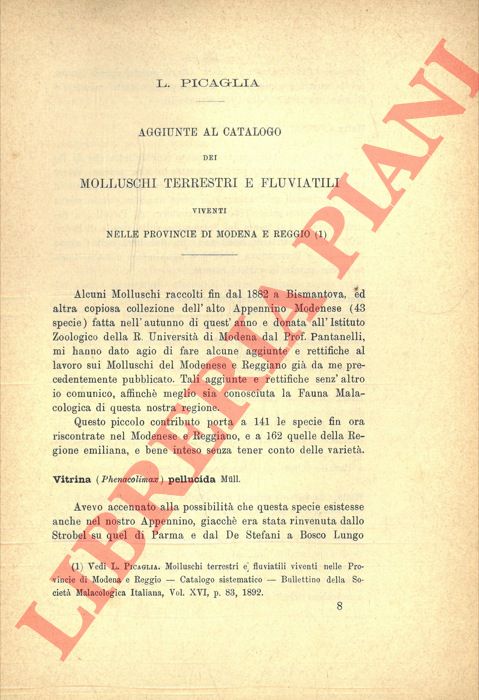 PICAGLIA L(uigi) - - Aggiunte al Catalogo dei Molluschi terrestri e fluviatili viventi nelle provincie di Modena e Reggio.