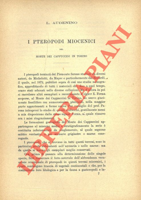 AUDENINO L. - - I Pteropodi miocenici del Monte dei Cappuccini in Torino.