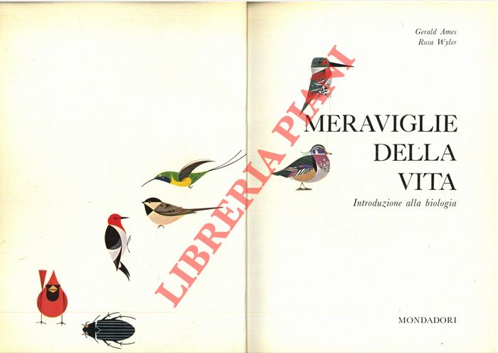 AMES Gerald - WYLER Rosa - - Meraviglie della vita. Introduzione alla biologia.