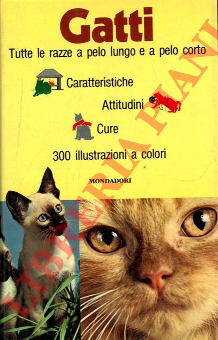 PUGNETTI Gino - - Gatti.