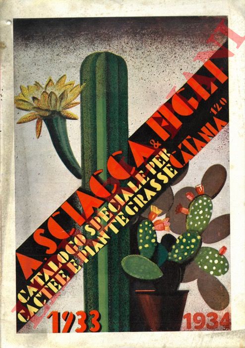 A. Sciacca & figli. Catania - - Catalogo speciale per Cactee e Piante grasse. N 32. 1933 - 1934.