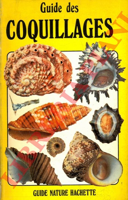 SAUNDERS Graham D. - - Coquillages.
