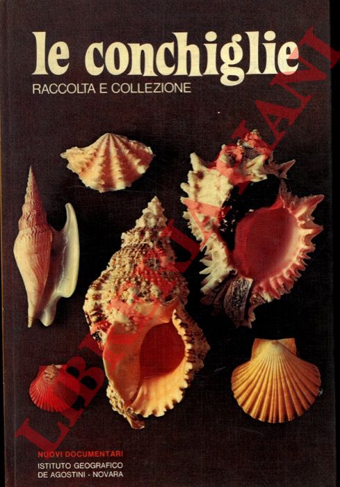 ANGELETTI Sergio - - Le conchiglie. Raccolta e collezione.