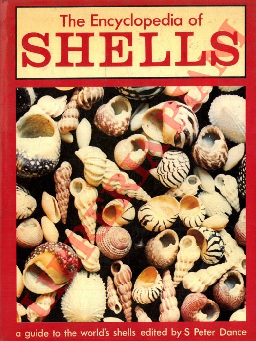 DANCE Peter - - The encyclopedia of shells.