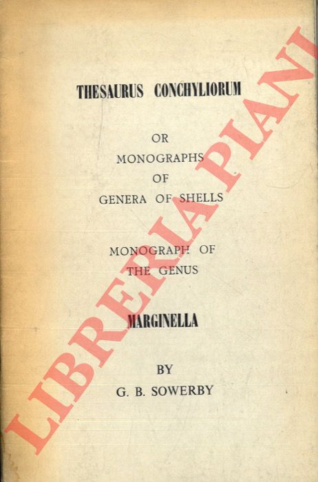 SOWERBY G.B. - - Monograph of the Genus Marginella. (