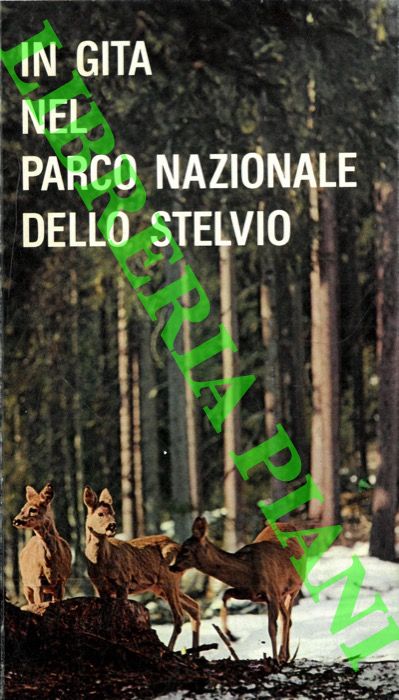 - - In gita nel Parco Nazionale dello Stelvio.