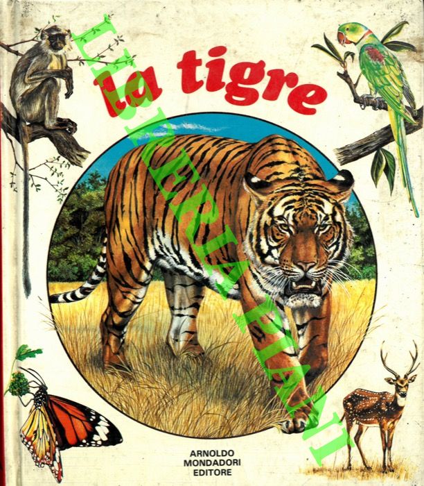 SAUNIER Nadine -  Graham Tony - - La tigre.
