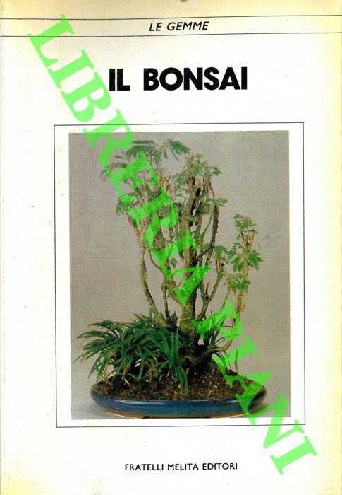 - - Il bonsai.