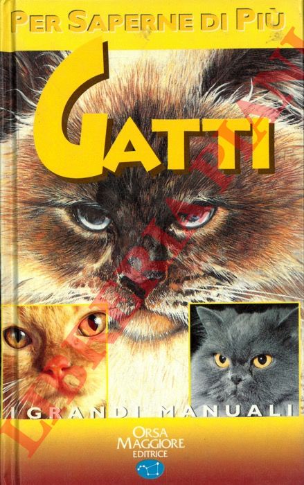 PUGNETTI Gino - - Gatti.