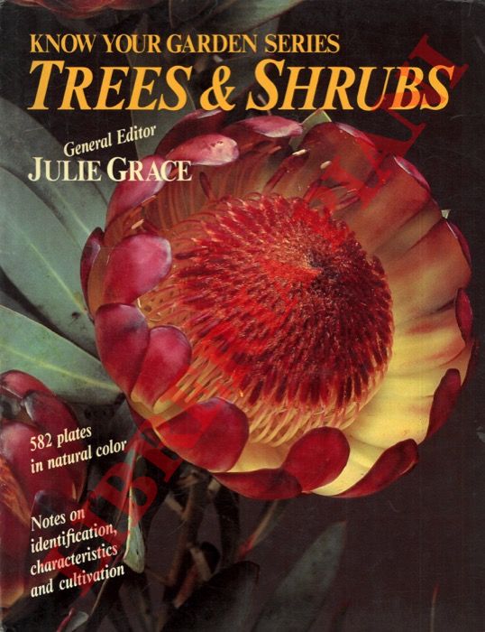 (GRACE Julie) - - Trees and shrubs.