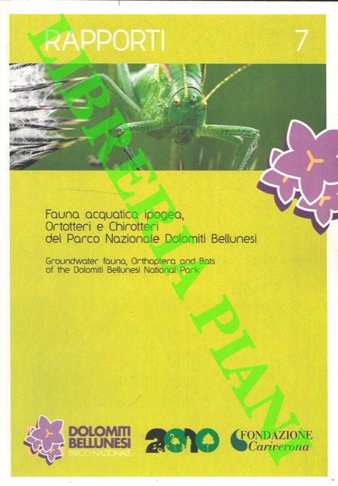 AA.VV. - - Fauna acquatica ipogea. Ortotteri e Chrotteri del Parco Nazionale Dolomiti Bellunesi. Rapporto finale del progetto: 'Biodversity hotspot. Indagini faunistiche su gruppi poco noti di Vertebrati e Invertebrati di elevato valore zoogeografico, evoluzionistico