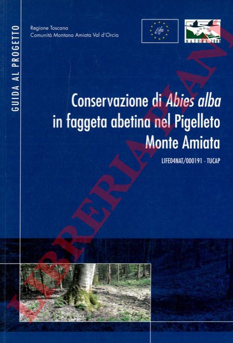 (MIOZZO Marcello - MONTINI Piergiuseppe) - - Conservazione di Abies alba in faggetta abetina nel Pigellato Monte Amiata.