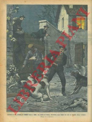 BELTRAME A. - - Uno spogliatore di cadaveri sorpreso dai soldati delle truppe europee.