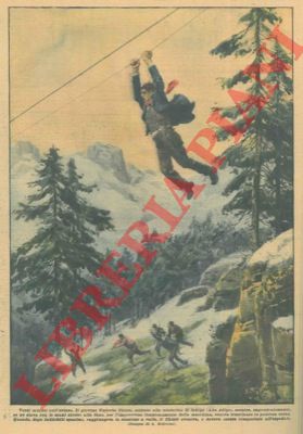 BELTRAME A. - - Un giovane addetto alla teleferica di Sinigo, mentre se ne stava con le mani strette alla fune, per l'improvviso funzionamento della macchina, veniva trascinato, in paurosa corsa, fino a valle.