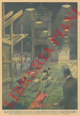 SALVADORI R. - - Un nuovo sport a Londra. Una lepre meccanica corre lungo un binario, e nel momento in cui passa davanti a un canile questo si apre e lascia uscire i cani che iniziano l'inseguimento.