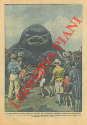 BELTRAME A. - - Nell'Australia settentrionale catturato uno dei pi strani mostri delle profondit marina. pesava pi di due tonnellate. (Sic).