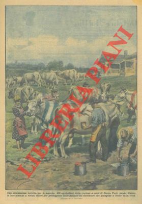 BELTRAME A. - - Negli Stati Uniti, alcuni agricoltori hanno dipinto le loro mucche a vivaci colori per proteggerle dai cacciatori.