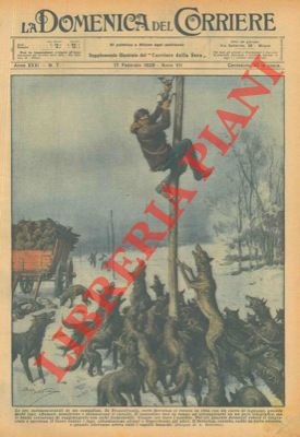 BELTRAME A. - - In Transilvania branco di lupi uccide un cavallo che trainava un carretto ed assale il conducente su di un palo del telegrafo per cinque ore.