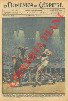 BELTRAME A. - - Incontro di boxe tra un canguro ed un pugile professionista.
