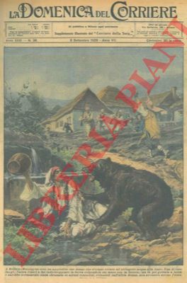 BELTRAME A. - - Orso aggredisce alcune donne che si erano recate ad attingere acqua ad una fonte.
