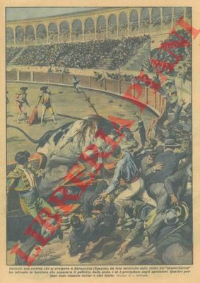 BELTRAME A. - - Durante una corrida che si svolgeva a Saragozza (Spagna), un toro inferocito dalle ferite dei 