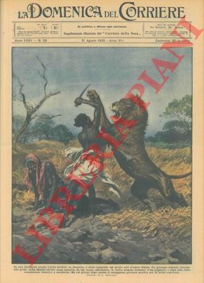 BELTRAME A. - - In Somalia un giovane uccide un leone armato soltanto di un  pugnale.