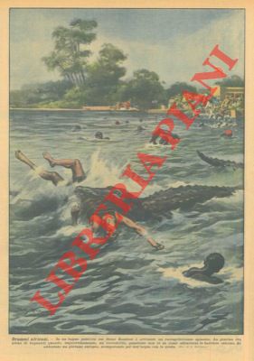 BELTRAME A. - - Coccodrillo sul fiume Zambesi addenta giovane europeo scomparendo poi sott'acqua con la preda.