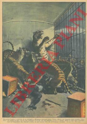 BELTRAME A. - - Presso Tolosa, mentre un domatore stava facendo 