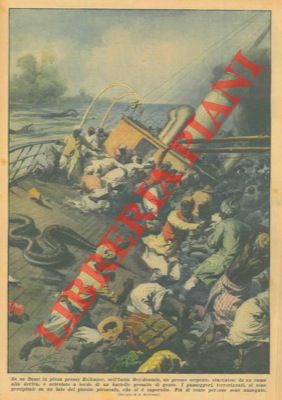 BELTRAME A. - - Su un fiume in piena presso Kolhapur, nell'India Occidentale, un grosso serpente, staccatosi da un ramo alla deriva,  scivolato a bordo di un battello gremito di gente.